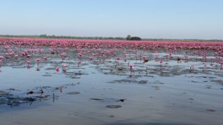 ラオス旅行の風景写真