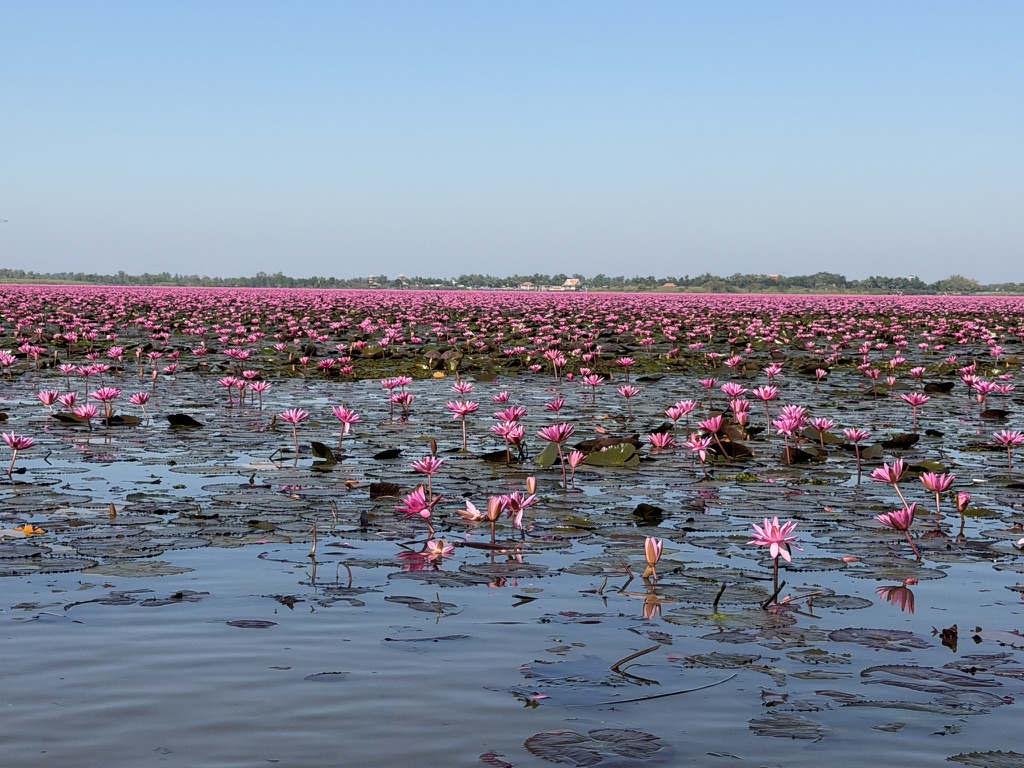 ラオス旅行の風景写真