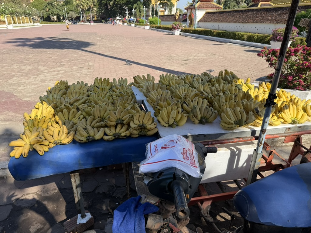 ビエンチャン寺院前に並ぶローカルバナナ屋台