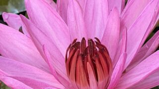 ラオス旅行の風景写真