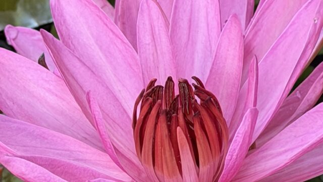 ラオス旅行の風景写真