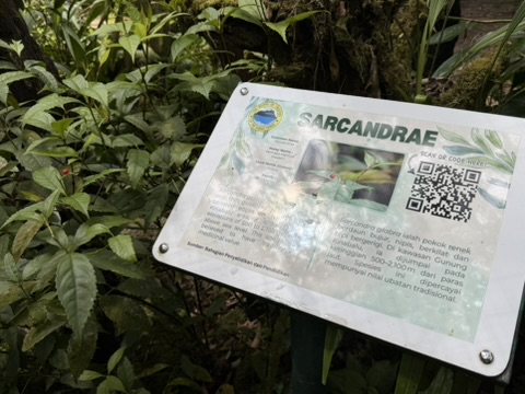 サルカンドラエの説明板