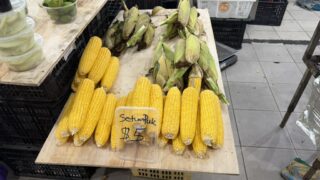 ブルネイ summary 市場 corn
