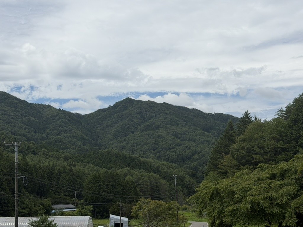 売木村の緑の山並み
